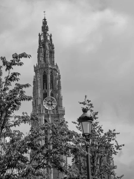 City Antwerp Belgium — Stock Photo, Image