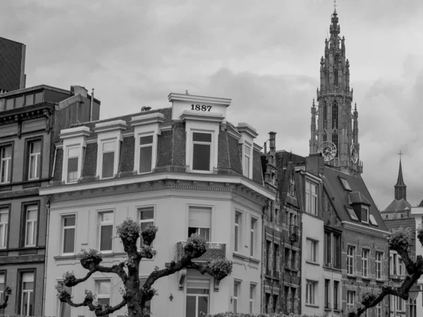 Stad Antwerp België — Stockfoto