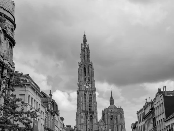 Πόλη Του Antwerp Στο Belgium — Φωτογραφία Αρχείου