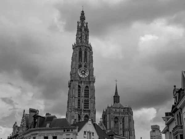 Belçika Nın Antwerp Şehri — Stok fotoğraf