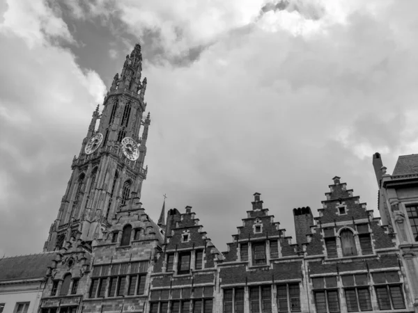 City Antwerp Belgium — Stock Photo, Image