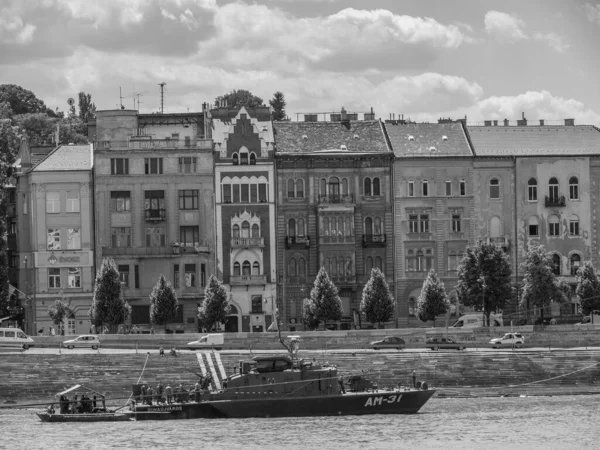 Πόλη Της Βουδιστικής Στον Ποταμό Danube — Φωτογραφία Αρχείου