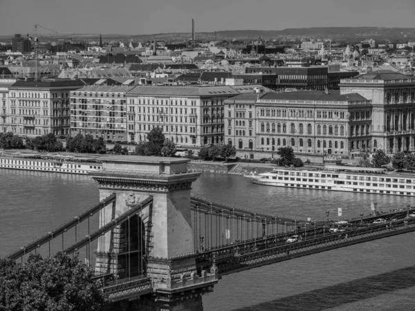 Ville Budapest Bord Danube — Photo