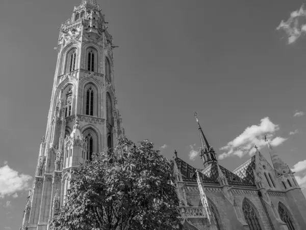 Cidade Budapeste Rio Danúbio — Fotografia de Stock