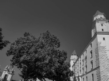 Bratislava Slovakya 'da Danube Nehri' nde