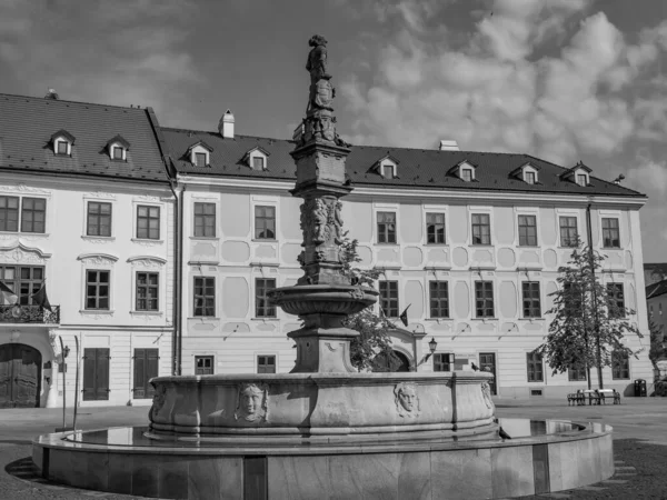 Bratislava Eslovaquia Río Danubio — Foto de Stock