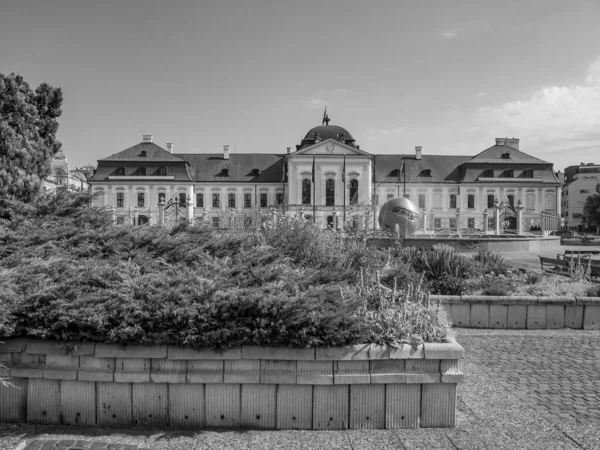 Bratislava Eslovaquia Río Danubio — Foto de Stock