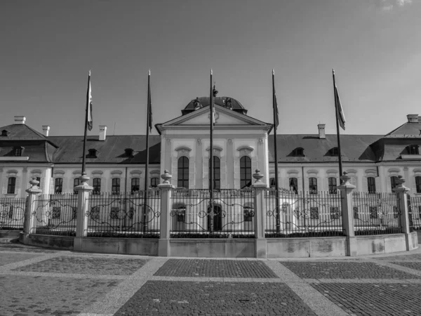 Bratislava Eslovaquia Río Danubio — Foto de Stock