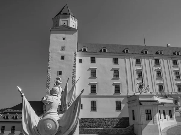 Bratislava Slovakya Danube Nehri Nde — Stok fotoğraf