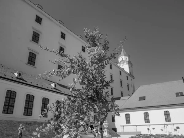 Bratislava Slovakien Vid Floden Danube — Stockfoto