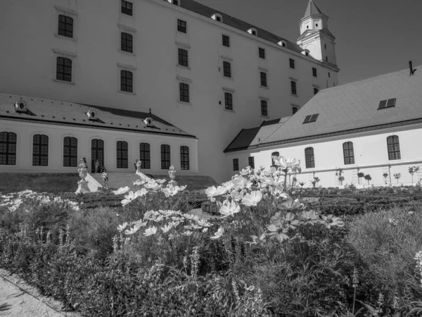 Bratislava Eslováquia Rio Danúbio — Fotografia de Stock