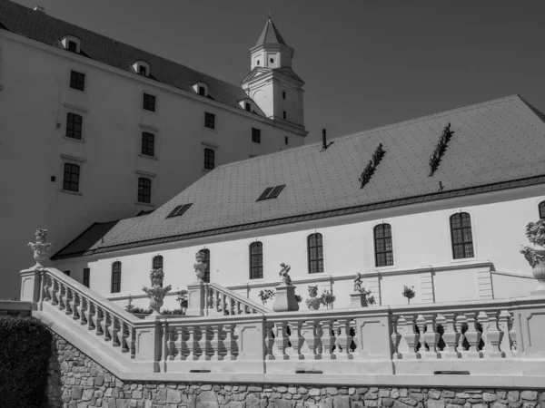 Братислава Словакии Реке Данубе — стоковое фото