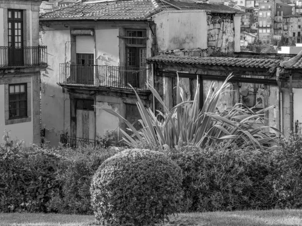 Porto Portekiz Deki Douro Nehri Nde — Stok fotoğraf