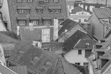 Talin ve Aziz Petersburg Baltık Denizi 'nde