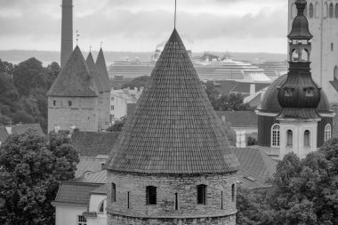 Talin ve Aziz Petersburg Baltık Denizi 'nde