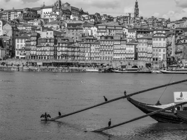Portekiz Lizbon Portekiz — Stok fotoğraf