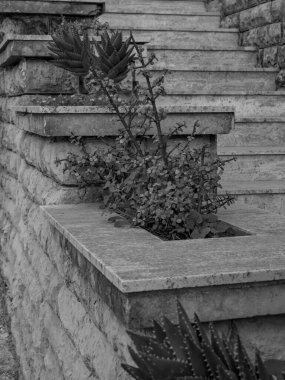 Akdeniz 'deki Malta adası