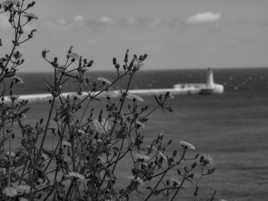 Akdeniz 'deki Malta adası