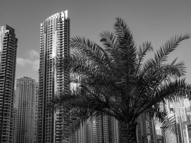 Abu dhabi ve Dubai 'de.