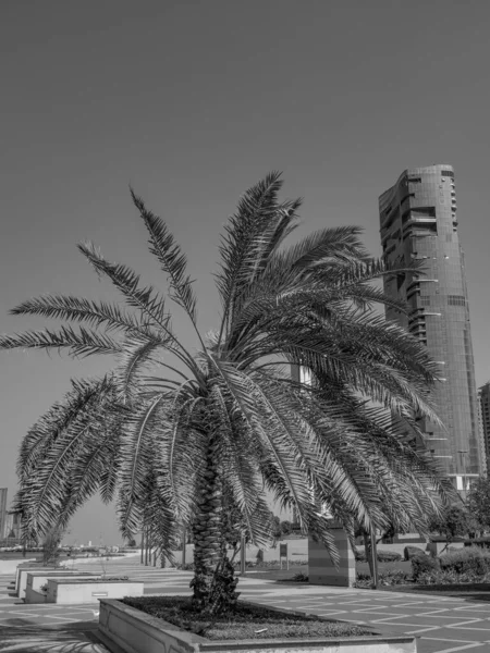 Abu Dhabi Uae — Stockfoto