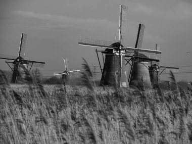 Hollanda 'daki Dordrecht ve Haarlem şehirleri