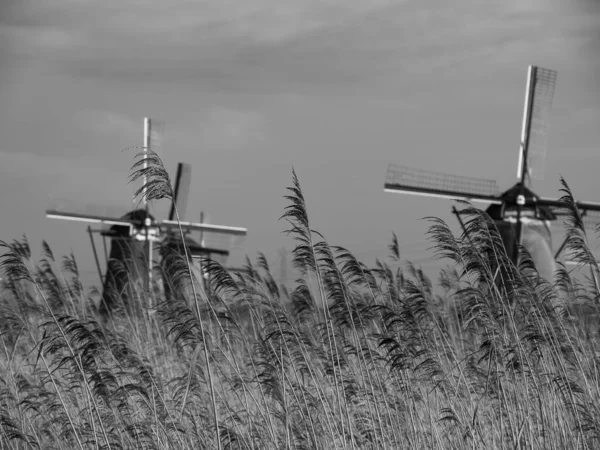 Las Ciudades Dordrecht Haarlem Los Países Bajos —  Fotos de Stock