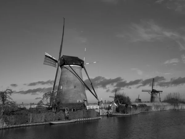 荷兰的多德雷赫特市和哈莱姆市 — 图库照片