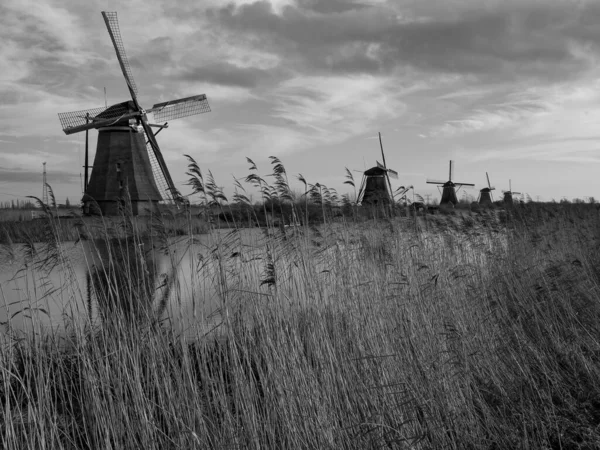 Steden Dordrecht Haarlem Nederland — Stockfoto