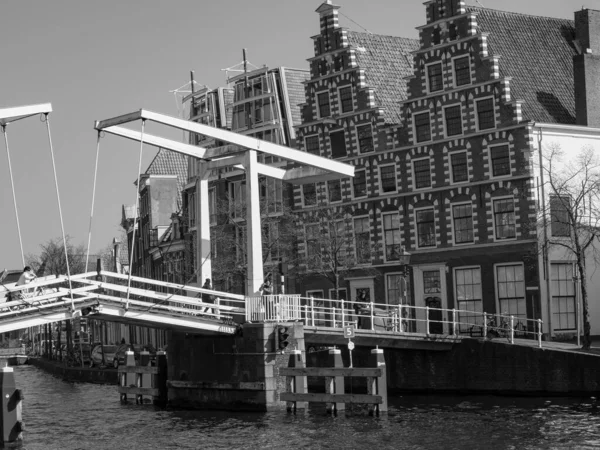 Steden Dordrecht Haarlem Nederland — Stockfoto