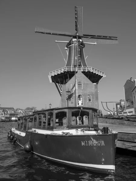 Les Villes Dordrecht Haarlem Aux Pays Bas — Photo