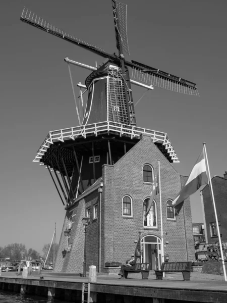 Stad Haarlem Nederland — Stockfoto