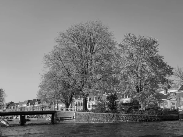 Stad Haarlem Nederland — Stockfoto