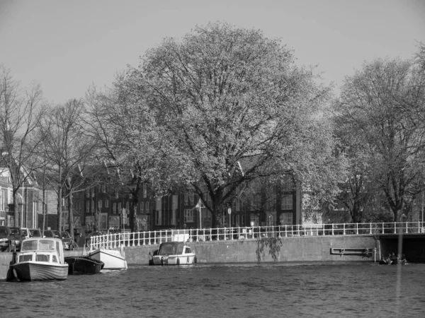 City Haarlem Netherlands — Stock Photo, Image