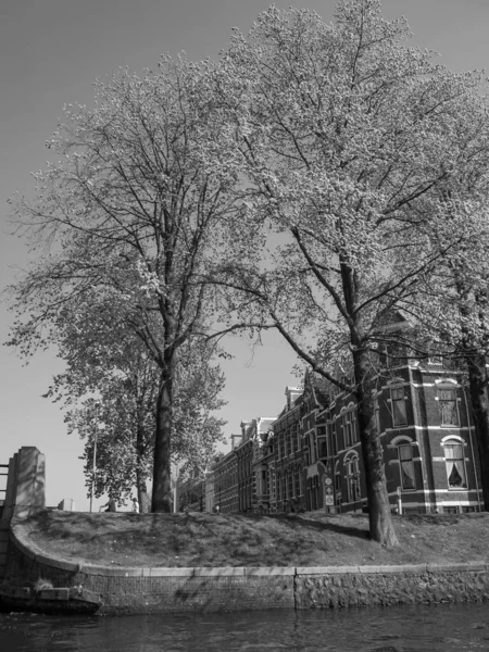 Cidade Haarlem Nos Países Baixos — Fotografia de Stock