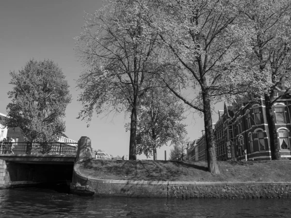 Staden Haarlem Nederländerna — Stockfoto