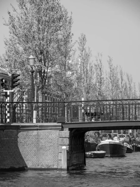 Stad Haarlem Nederland — Stockfoto