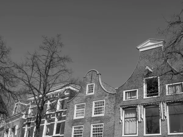 Haarlem Városa Hollandiában — Stock Fotó