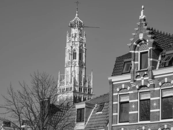 荷兰的哈莱姆市 — 图库照片