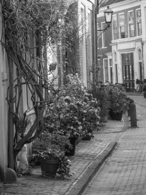 Hollanda 'daki Haarlem şehri.