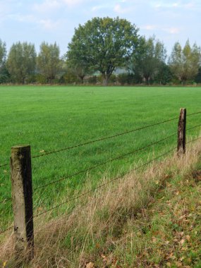Almanya Muensterland 'inde sonbahar geldi.