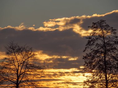 Almanya Muensterland 'inde sonbahar geldi.