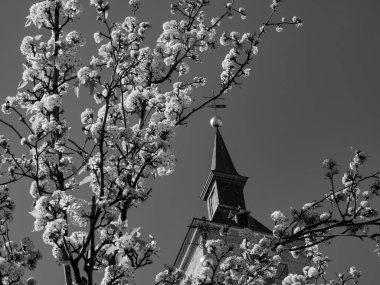 Madrid şehri İspanya 'da.