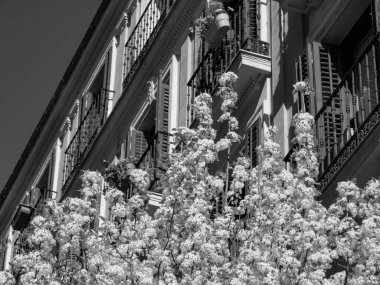 Madrid şehri İspanya 'da.