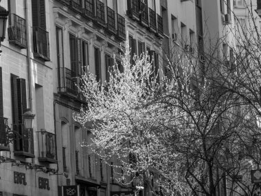 Madrid şehri İspanya 'da.