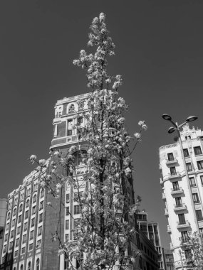 Madrid şehri İspanya 'da.