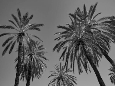 Palermo Sicilya adasında