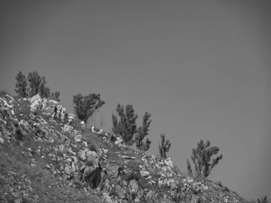 Palermo Sicilya adasında