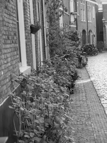 Ville Haarlem Aux Pays Bas — Photo
