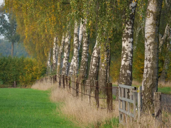 Otoño Muensterland Alemán — Foto de Stock