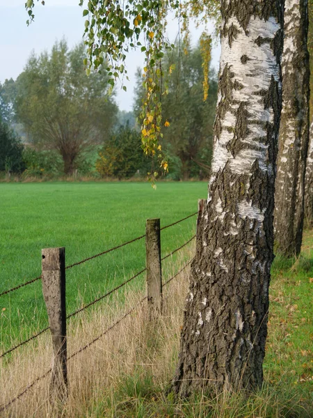 Otoño Muensterland Alemán — Foto de Stock